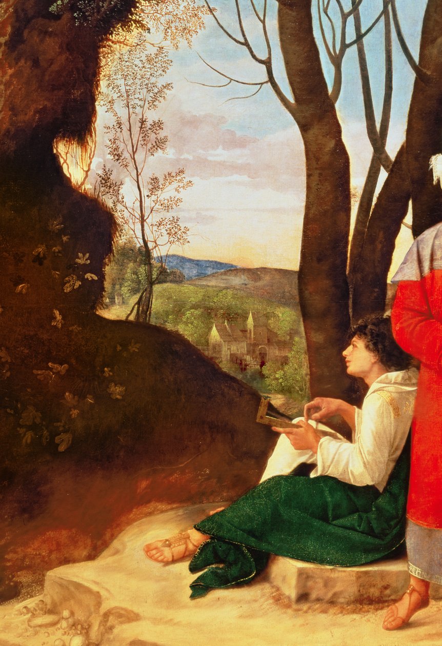 Tři filozofové (detail 54291) od Giorgione da Castelfranco