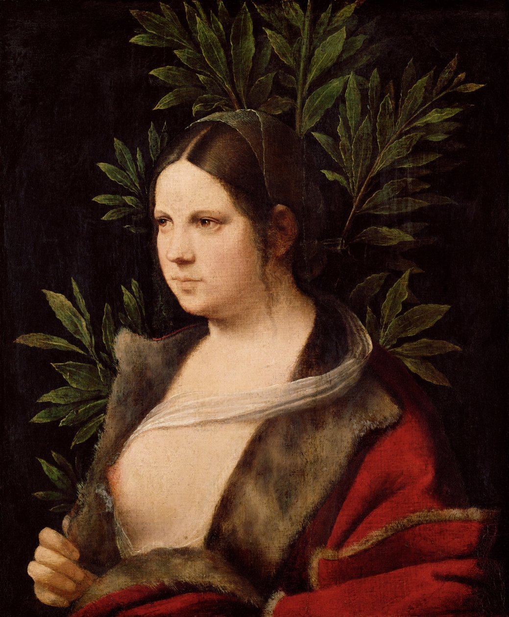Mladá žena Laura, 1506 od Giorgione da Castelfranco