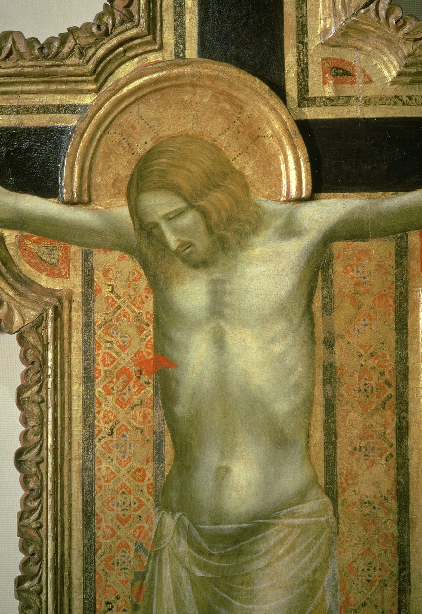 Krucifix, detail Krista, 1317 tempera na desce od Giotto di Bondone