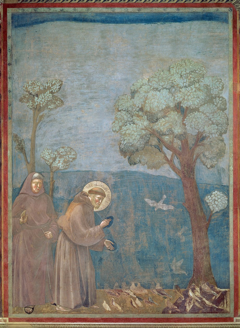 Svatý František káže ptákům, 1297-99 od Giotto di Bondone