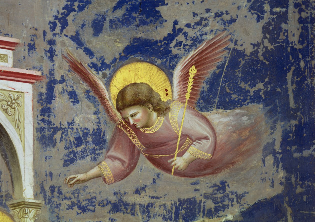 Anděl, z obrazu Představení Krista v chrámu, asi 1305 (freska) (detail 65195) od Giotto (c.1266 1337)