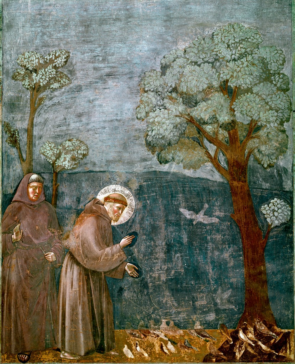 Epizoda ze života svatého Františka z Assisi (San Francesco): „“ Predikace ptáků“““ Freska od Giotta (Ambrogio di Bondone od Giotto (c.1266 1337)