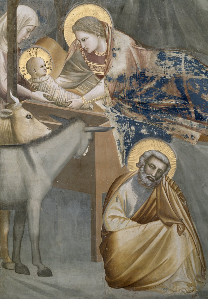 Narození Páně, detail Panny Marie s dítětem, oslíkem a Josefem, 1303-05 (po restaurování) od Giotto di Bondone