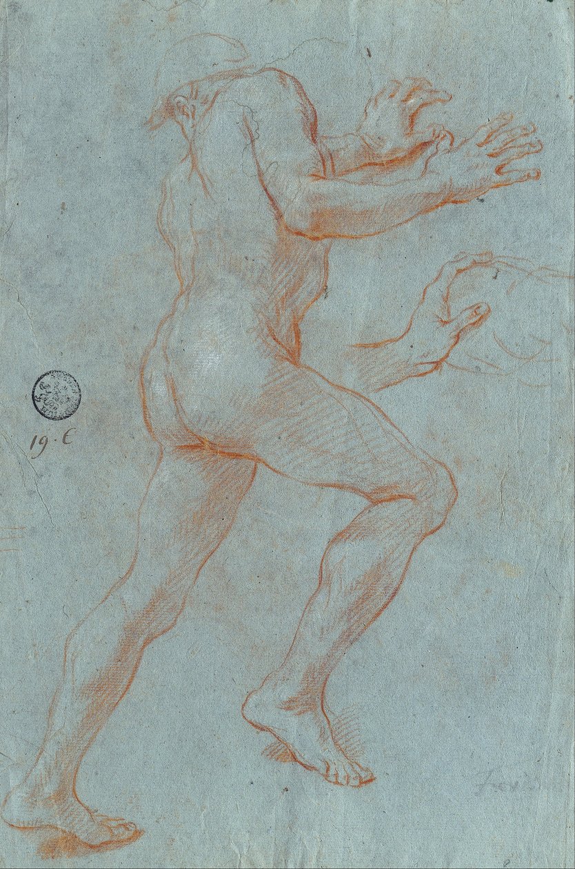 Studie mužského aktu od Giovanni Antonio Grecolini