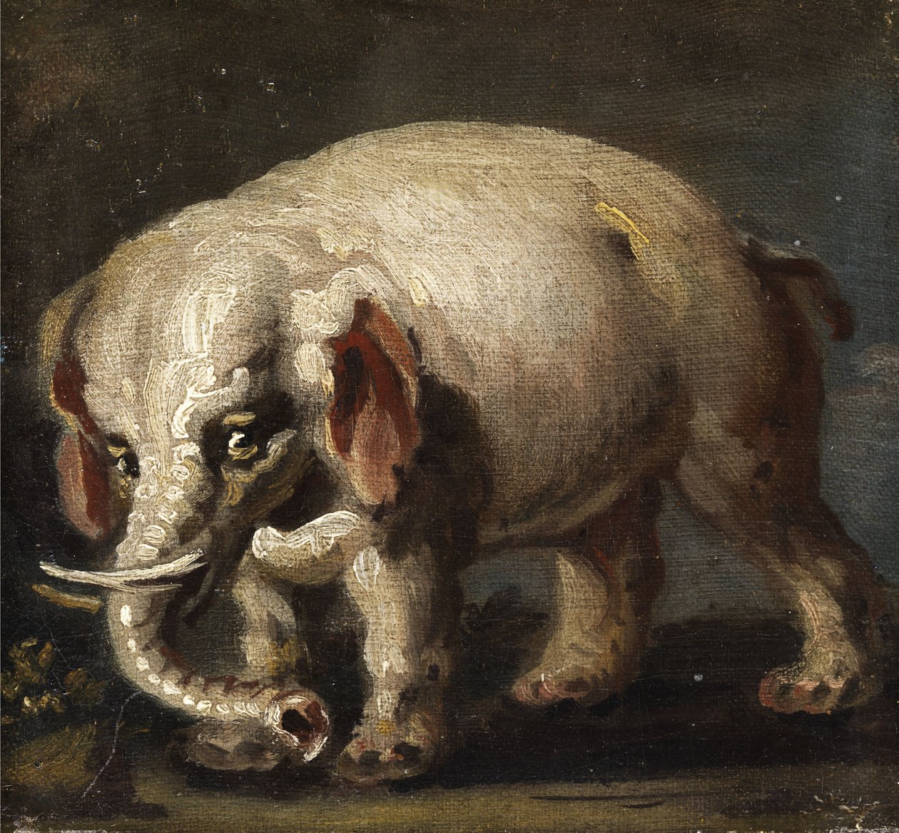 slon od Giovanni Antonio Guardi