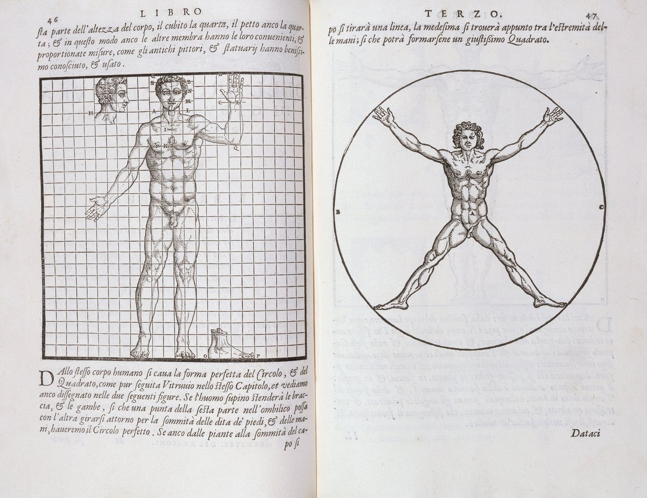 Ideální proporce založené na lidském těle, z „Della Architettura“, vydané v roce 1590 od Giovanni Antonio Rusconi