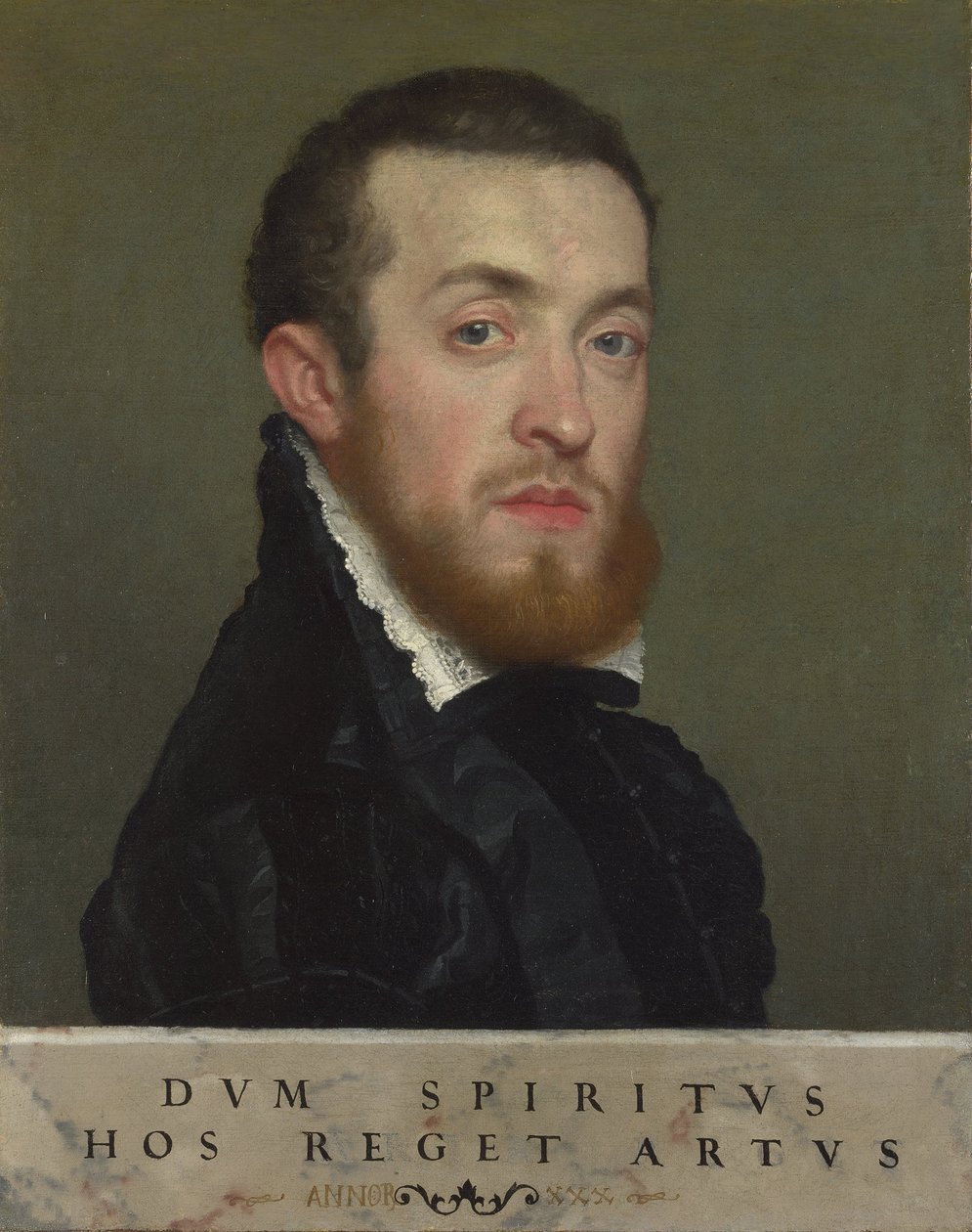 Poprsí Portrét mladého muže s nápisem od Giovanni Battista Moroni