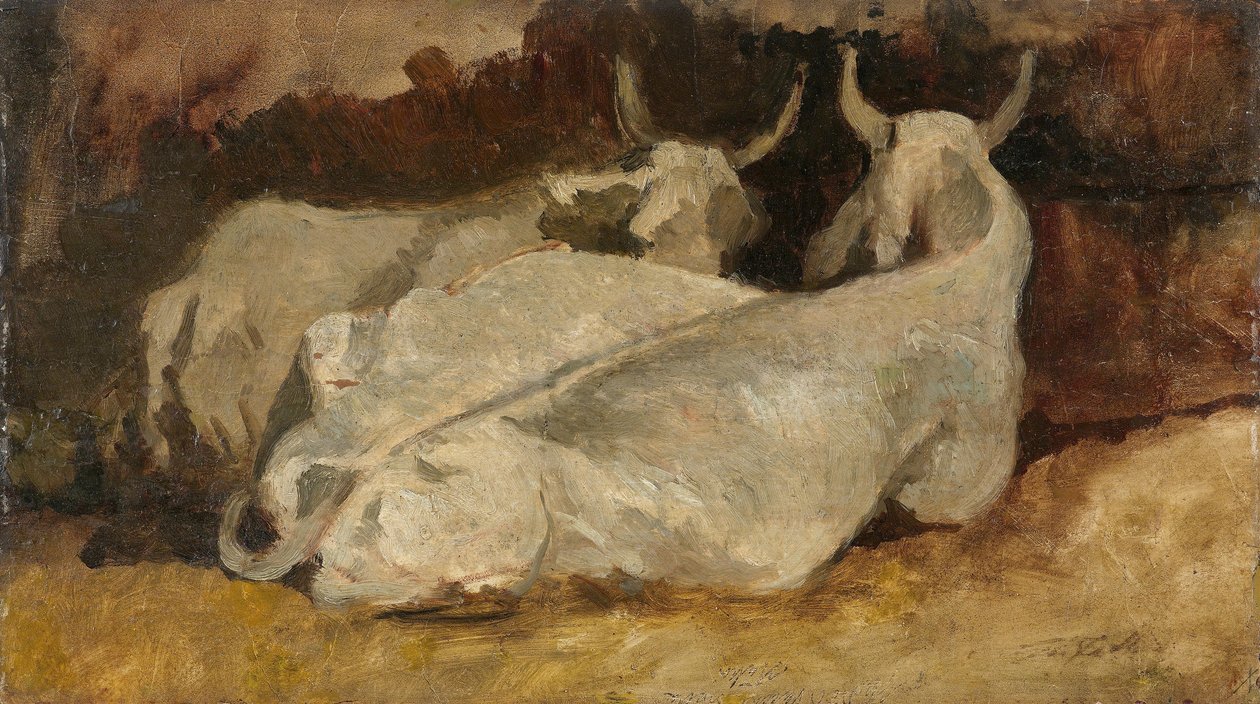 Ležící krávy od Giovanni Fattori