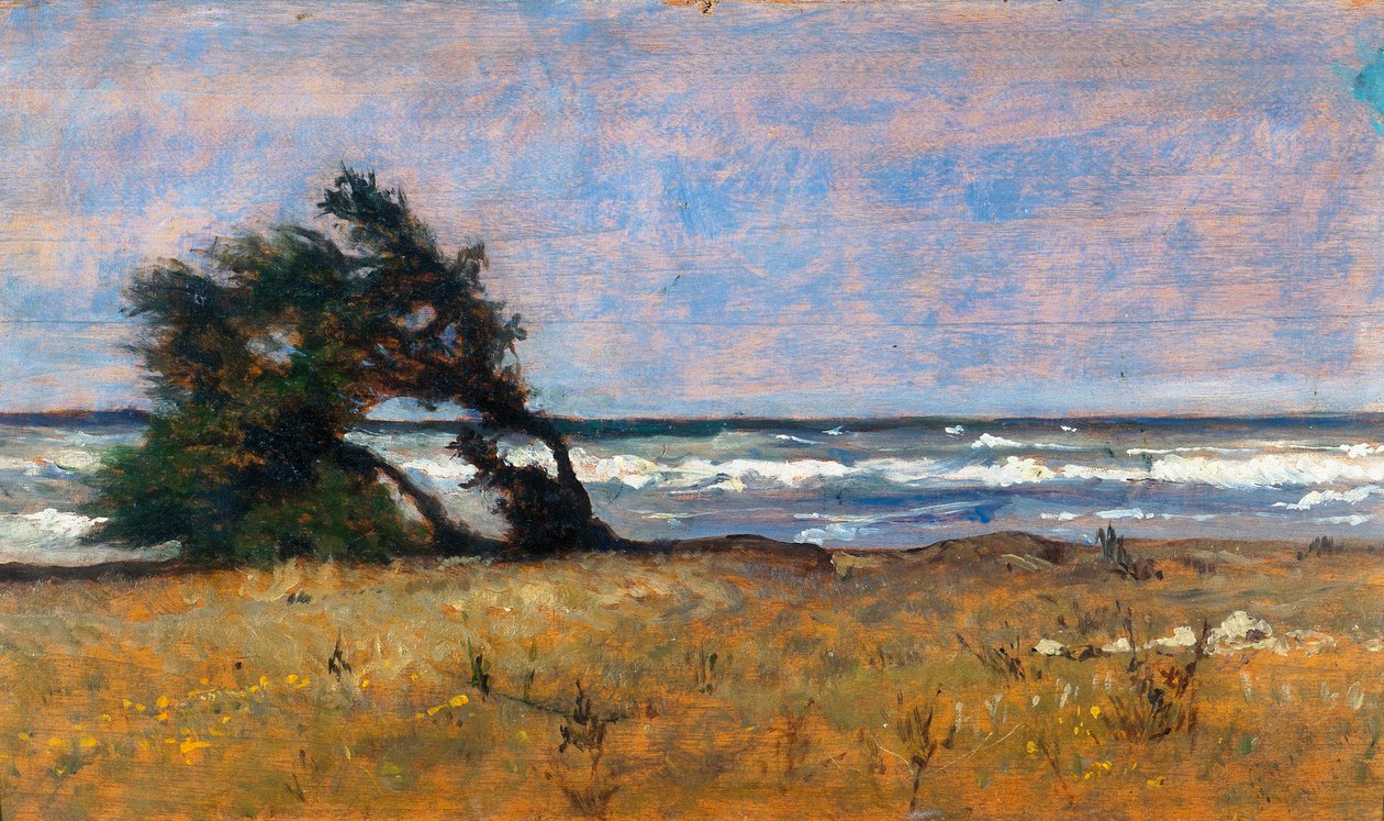 Bouřka od Giovanni Fattori