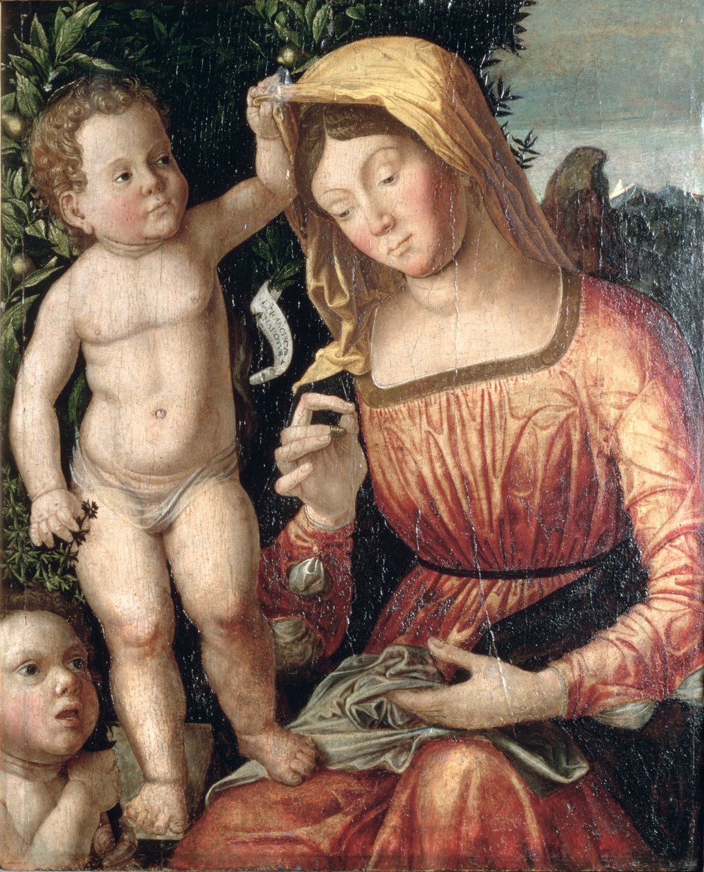 Madonna Šití od Giovanni Francesco Caroto