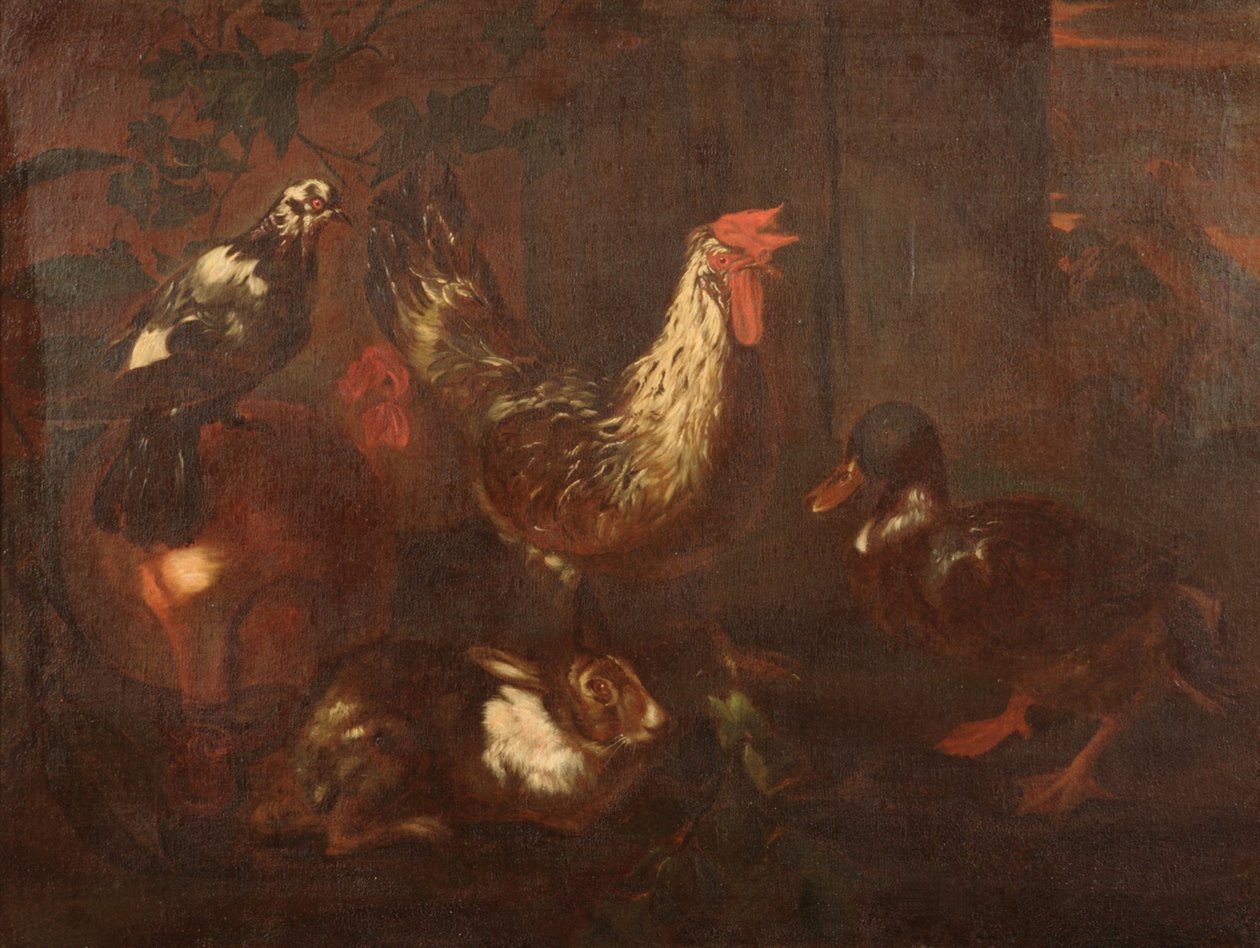 Drůbež a králíci od Giovanni Francesco Cassana