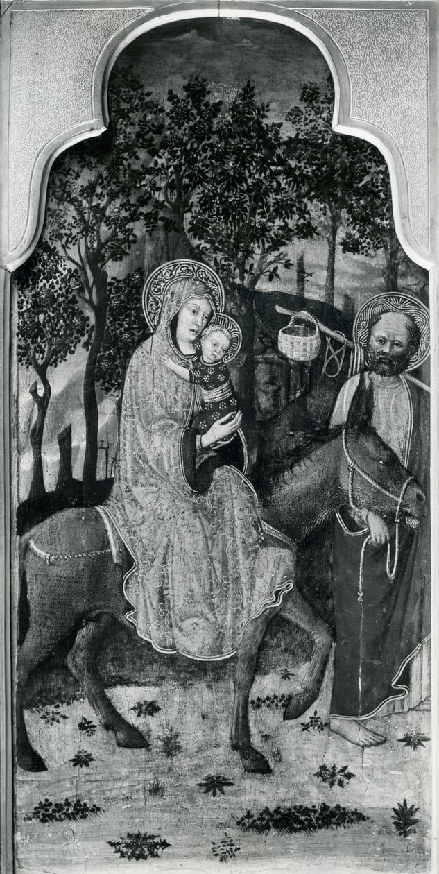 Cyklus života Panny, Útěk do Egypta, c.1445 olej na topolovém panelu bw foto od Giovanni Francesco da Rimini