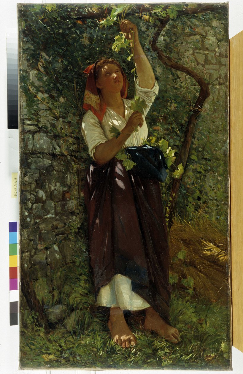 Obraz The Pruning of Vines od Giovanni Costy (1833-1902) Povinná zmínka: Collection Fondation Regards de Provence, Marseille od Giovanni Costa