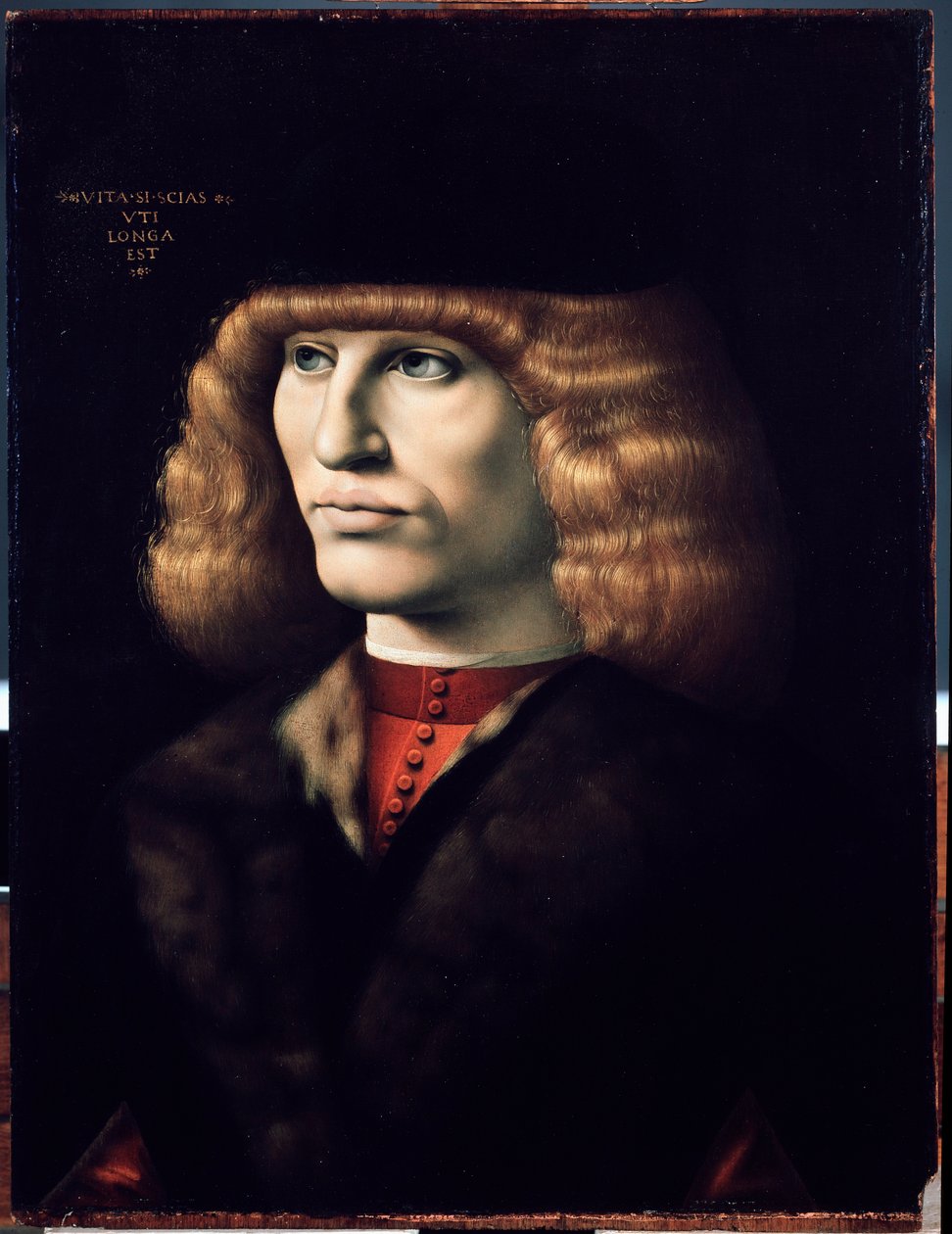 Portrét mladého muže, cca 1495 (olej na dřevě) od Giovanni Ambrogio de Predis