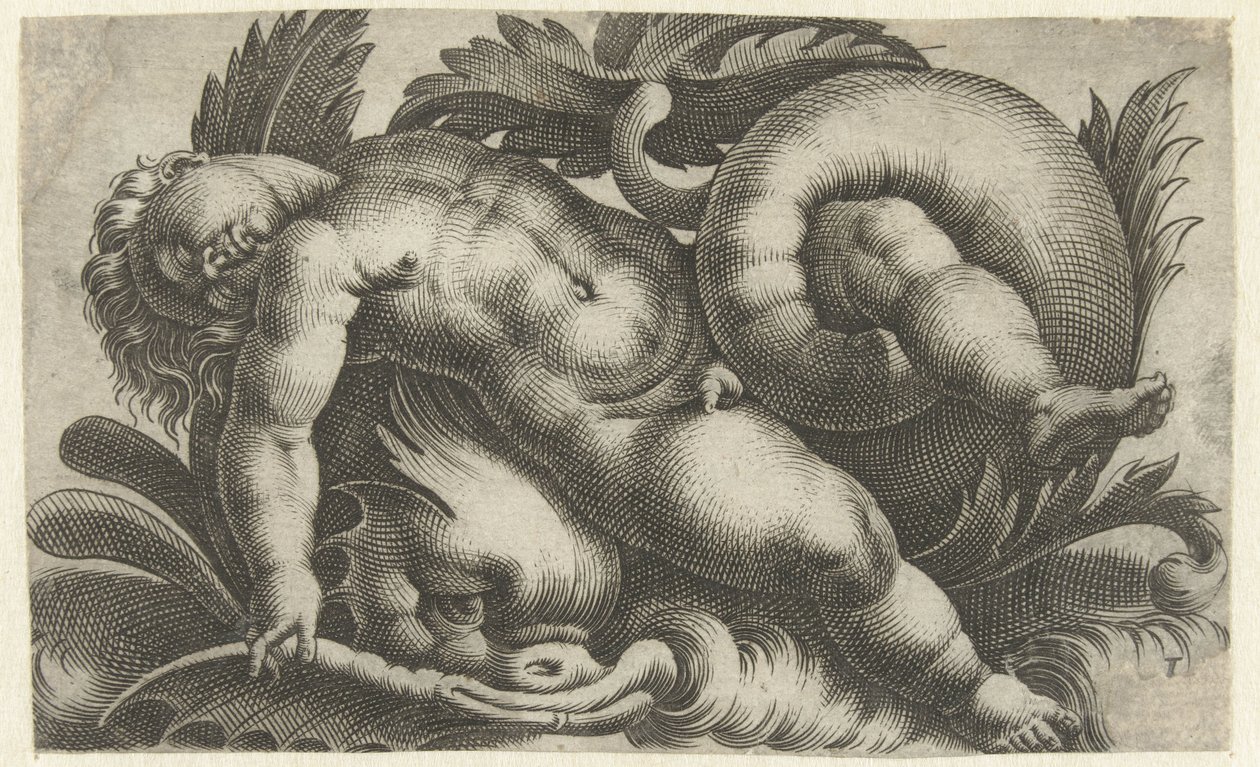 Spící putto na delfína Putti o mořských tvorech (název série) od Giovanni Andrea Maglioli