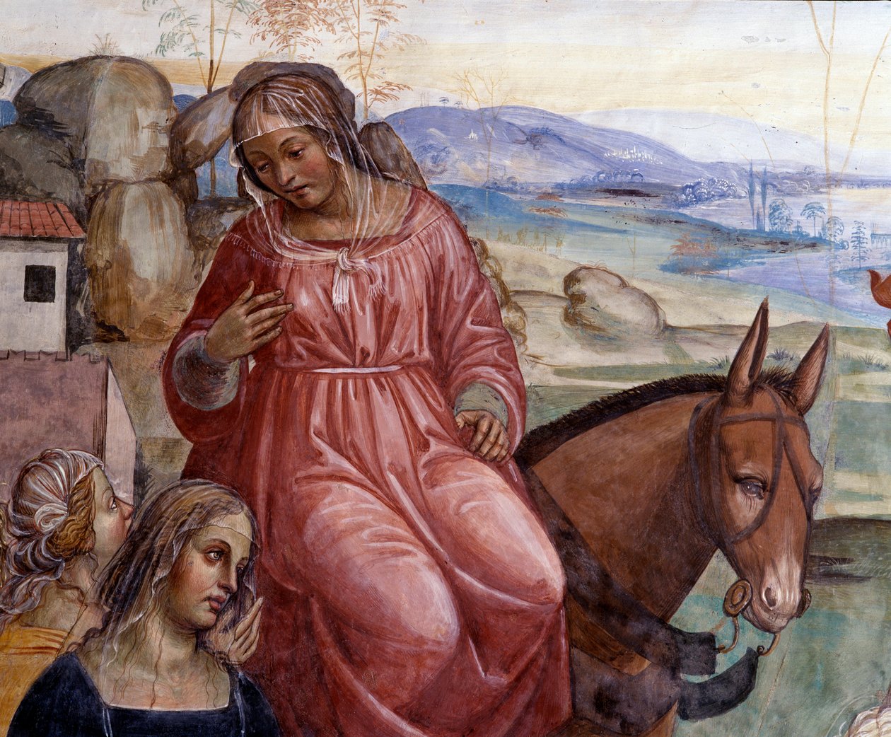 Benedikt opustil dům svého otce a odešel do Říma studovat Detail Benoitova služebníka Cyrilla - Freska klausu realizovaná Antoniem Bazzi dit il Sodoma (1477-1549) vyprávějící o životě svatého Benedikta z Nursie (480 - 567), zakladatele řádu od Giovanni Antonio Bazzi Sodoma