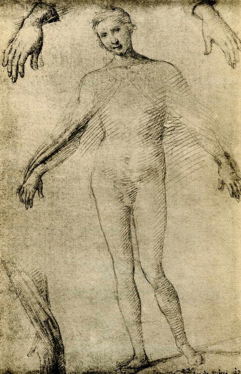 Modelová studie Panny Marie jako mater misericordiae od Giovanni Antonio Bazzi Sodoma