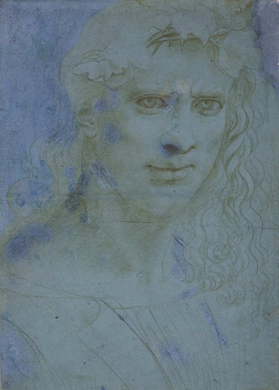 Busta mláďat korunovaná trním a výhonky vinné révy, c. 1495 (kovový hrot na modrém připraveném papíru) od Giovanni Antonio Boltraffio