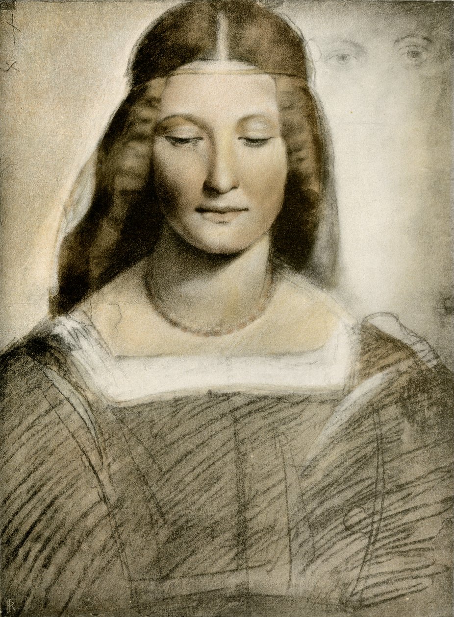 Ženský portrét od Giovanni Antonio Boltraffio