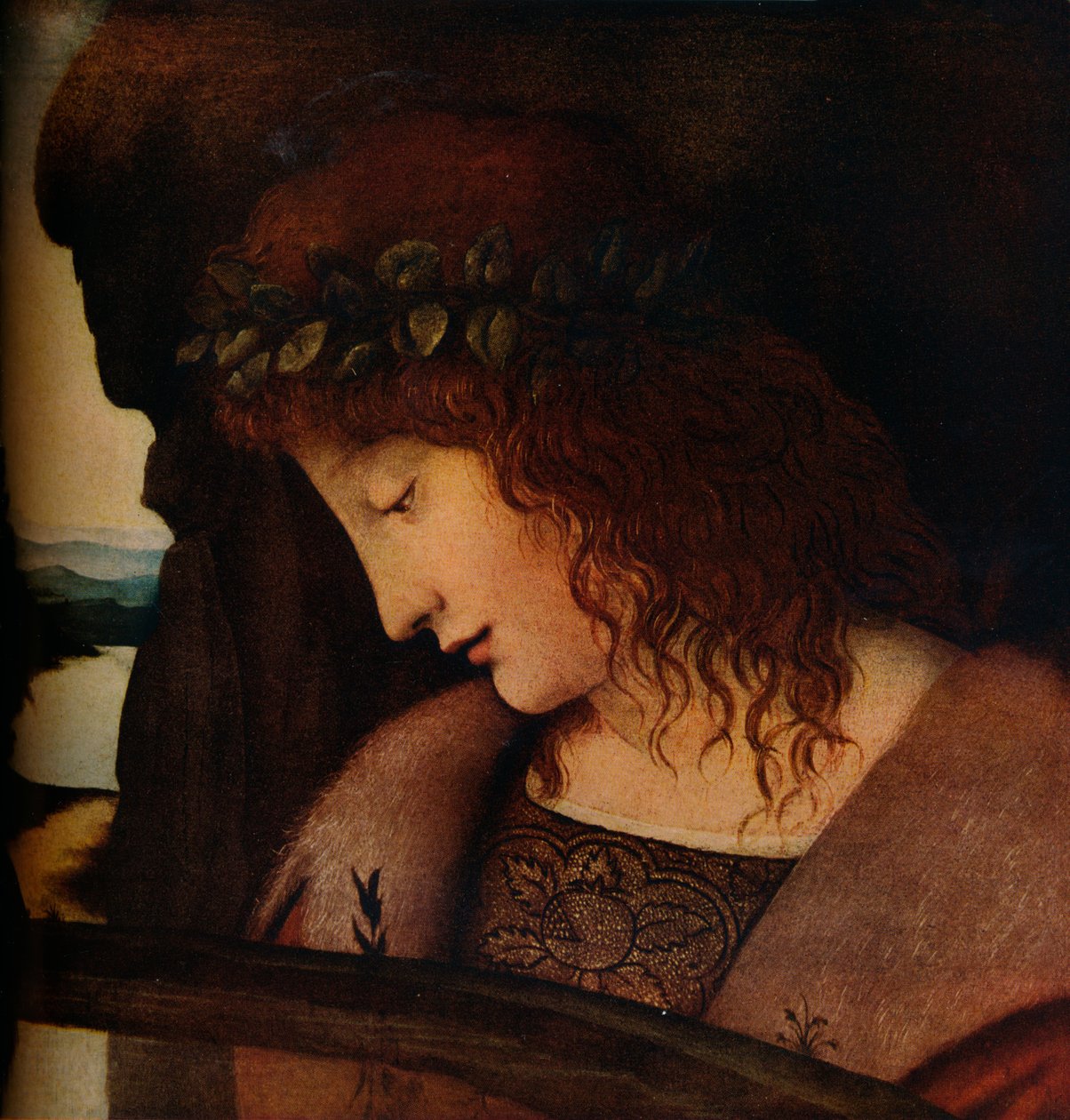 Narcis, c1500 od Giovanni Antonio Boltraffio