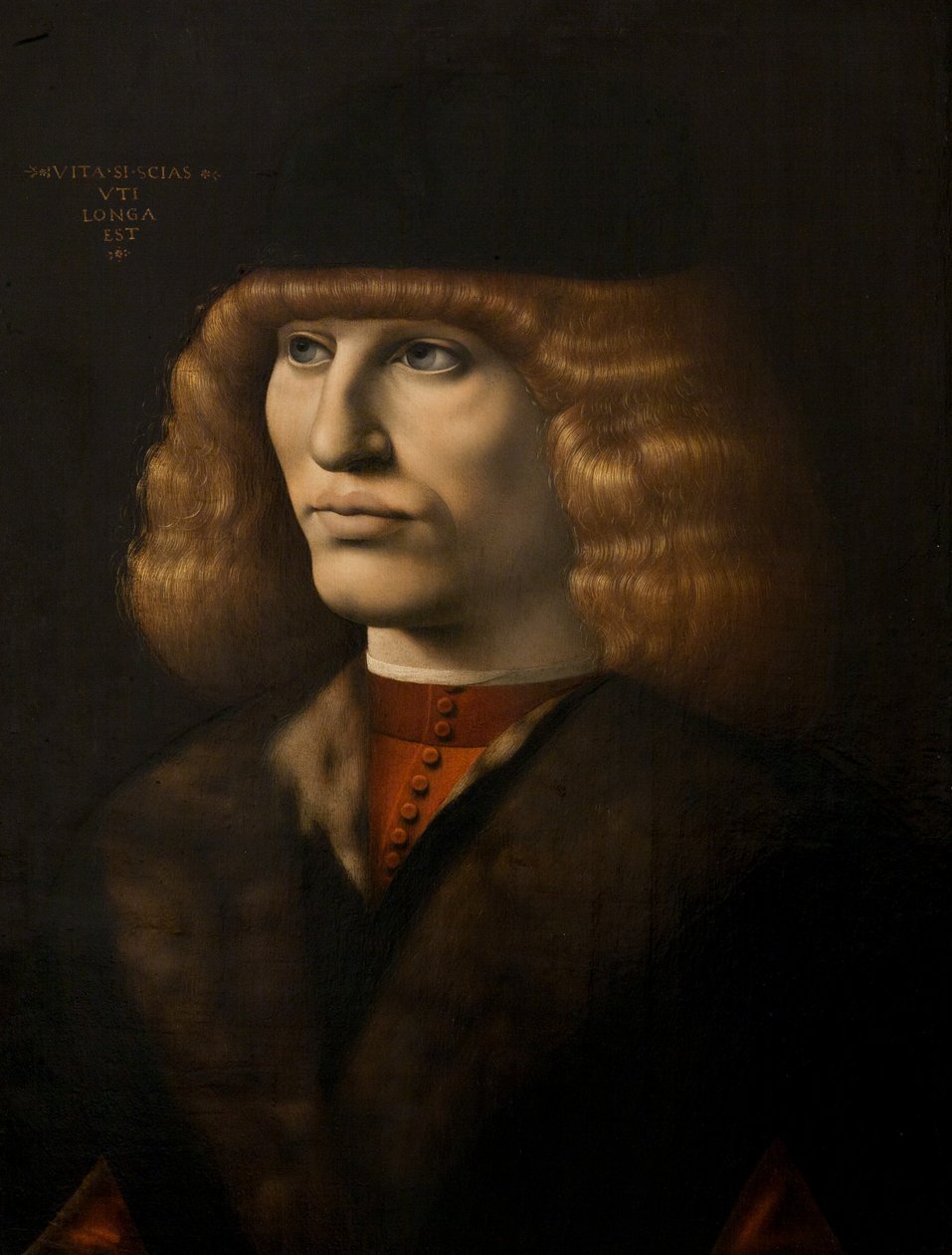 Portrét mladého muže, cca 1500 (olej na panelu) od Giovanni Antonio Boltraffio