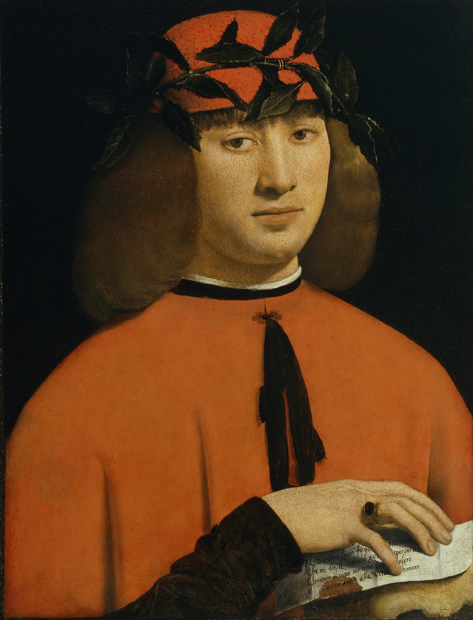 Portrét mladého muže, cca 1500 (olej na panelu) od Giovanni Antonio Boltraffio