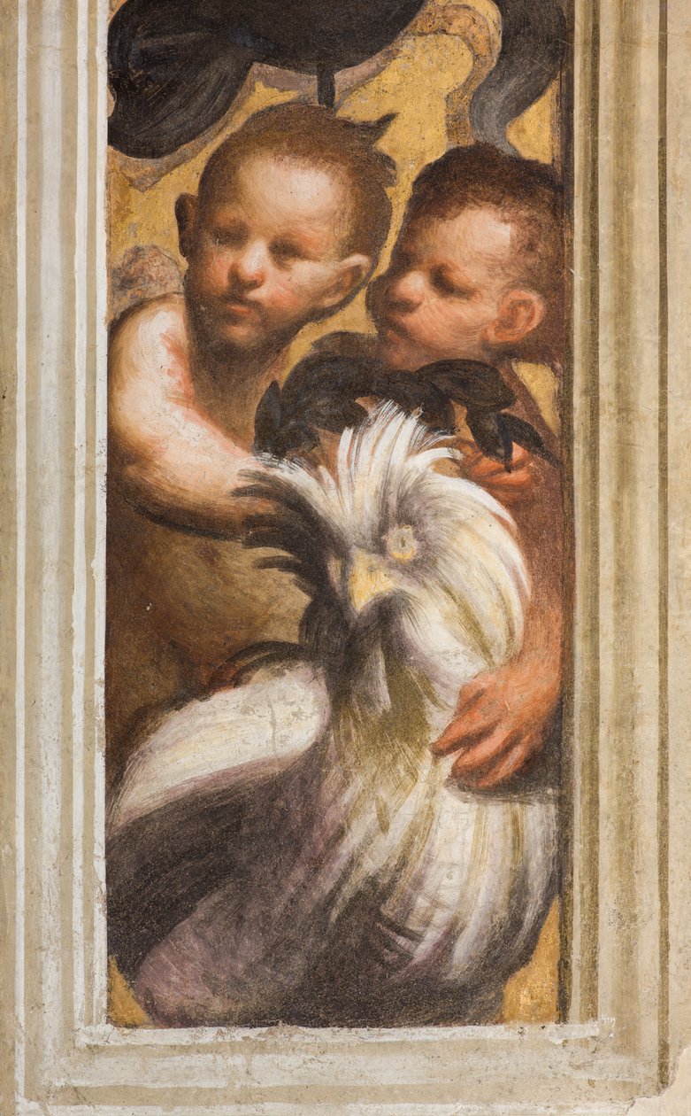 Central Ave, Lesena Horní část Nad hlavním městem První a Druhé pole Jih, IL Pordenone, Puttini, Detail od Giovanni Antonio Pordenone