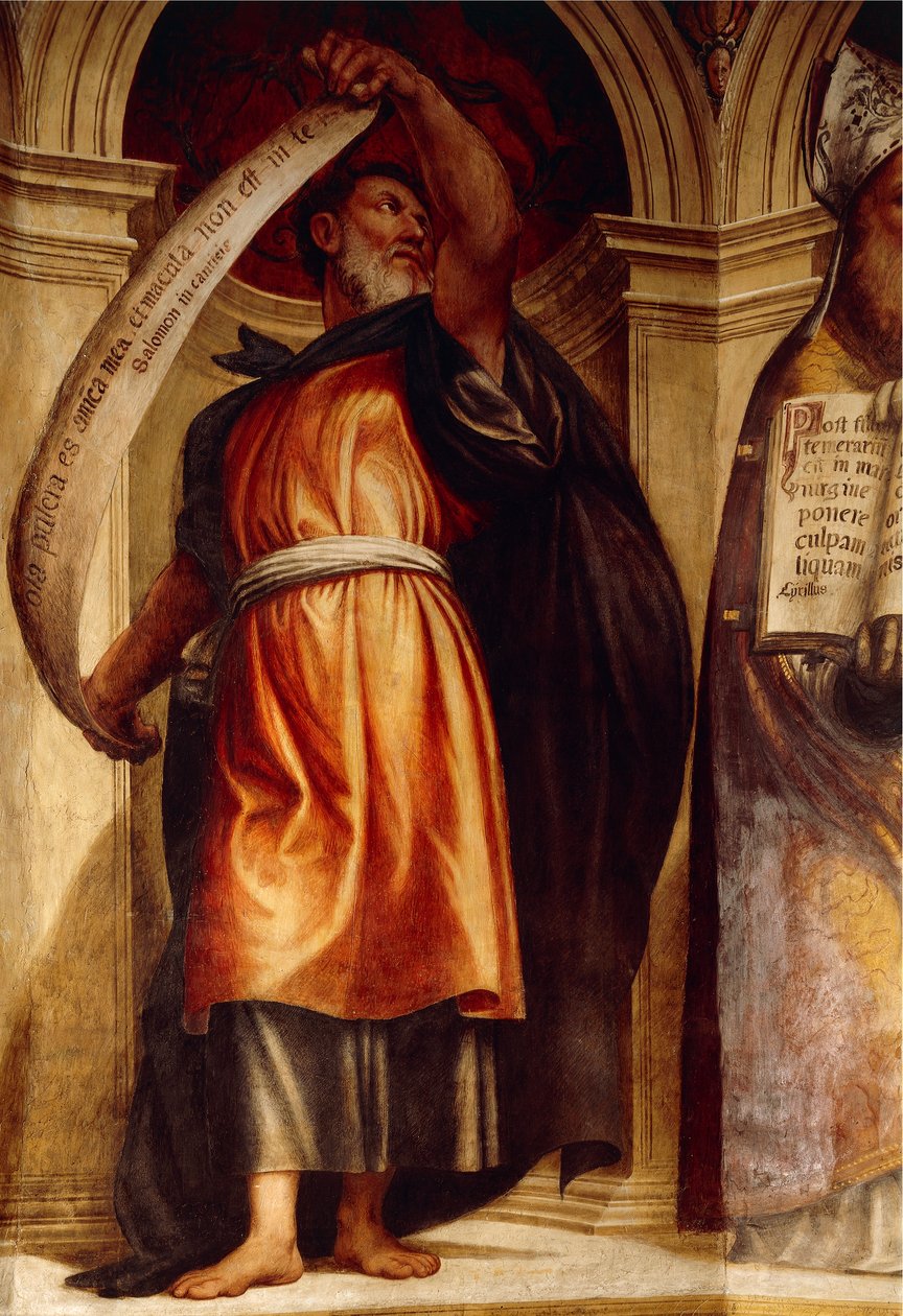 Šalamoun, kostel Zvěstování Panny Marie, kaple svaté Anny, Cortemaggiore, Itálie od Giovanni Antonio Pordenone