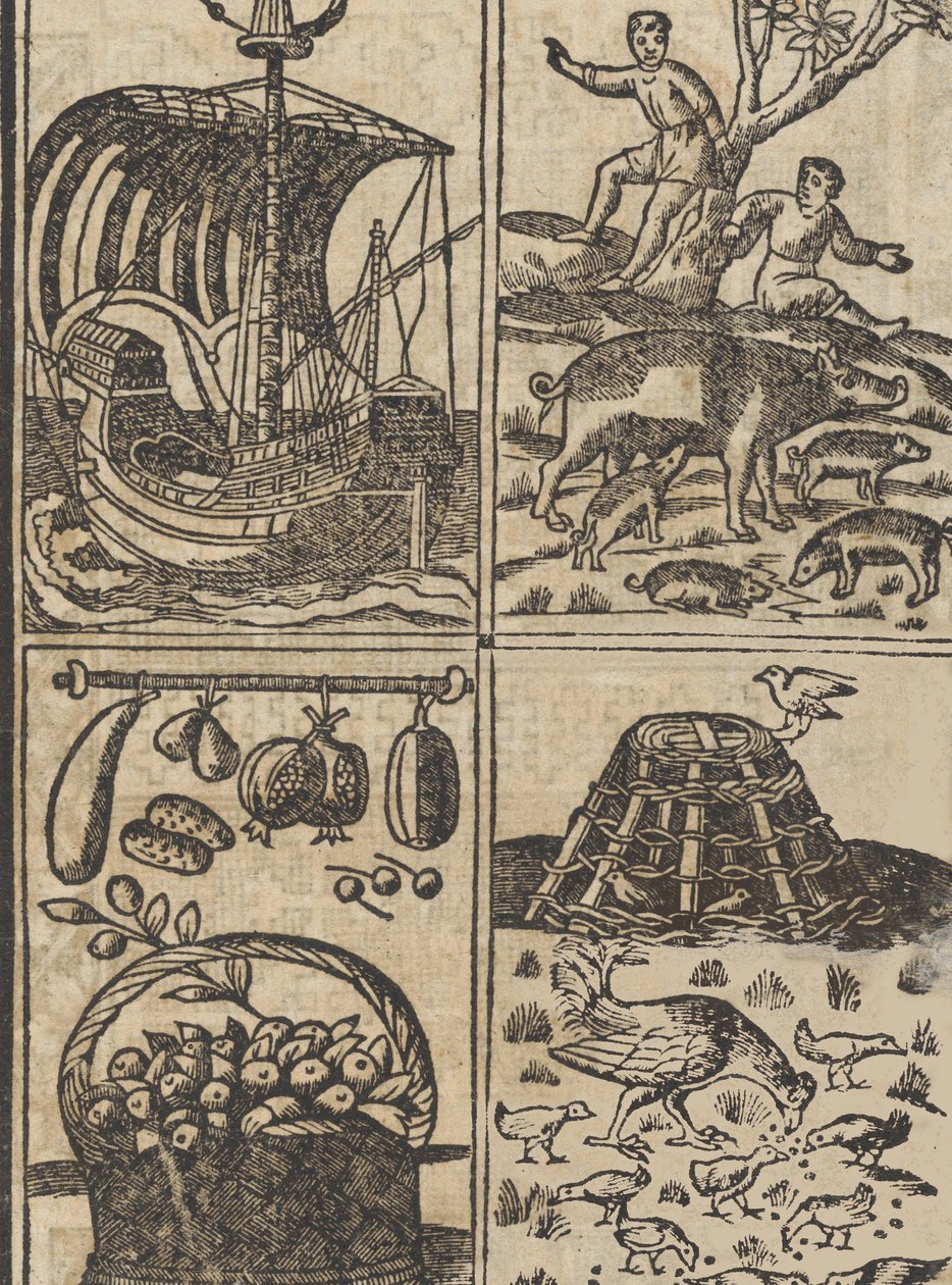 Příklad recammi, strana 9 recto, 1530. od Giovanni Antonio Tagliente