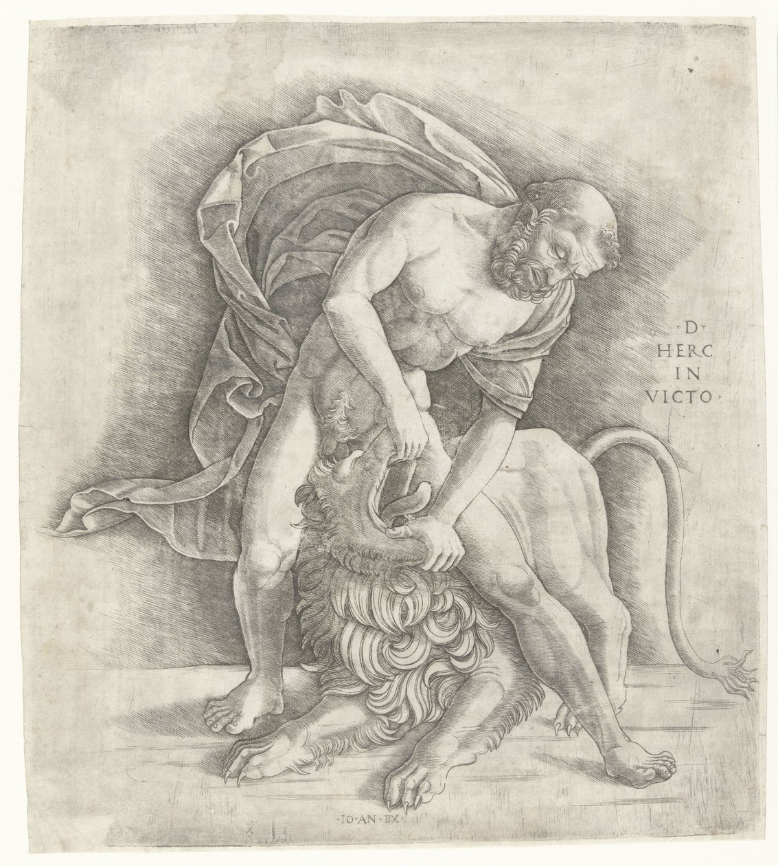Herkules bojující s nemejským lvem Herkules dobývá nemejského lva D HERC IN VICTO (název na objektu) od Giovanni Antonio da Brescia
