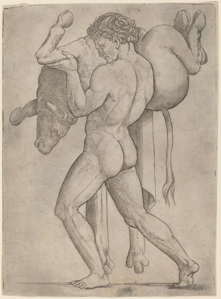Herkules a krétský býk od Giovanni Antonio da Brescia
