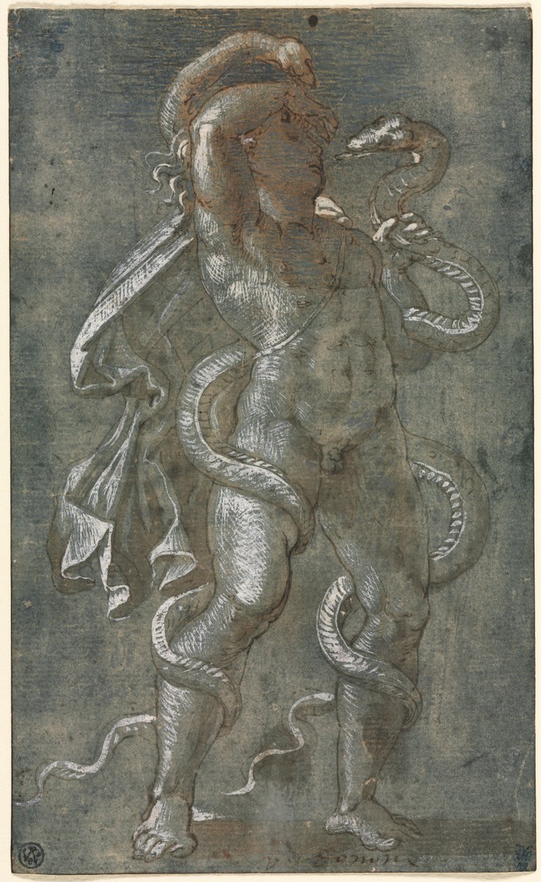 Muž propletený dvěma hady, c. 1527. od Giovanni Antonio da Pordenone