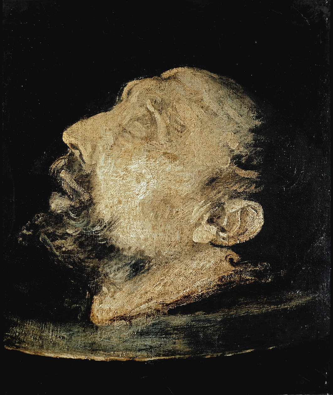 Hlava svatého Jana Křtitele na náhorní plošině od Giovanni Battista  Crespi