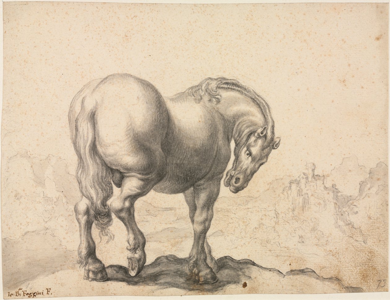 Studie hřebce, první třetina 18. století. od Giovanni Battista Foggini