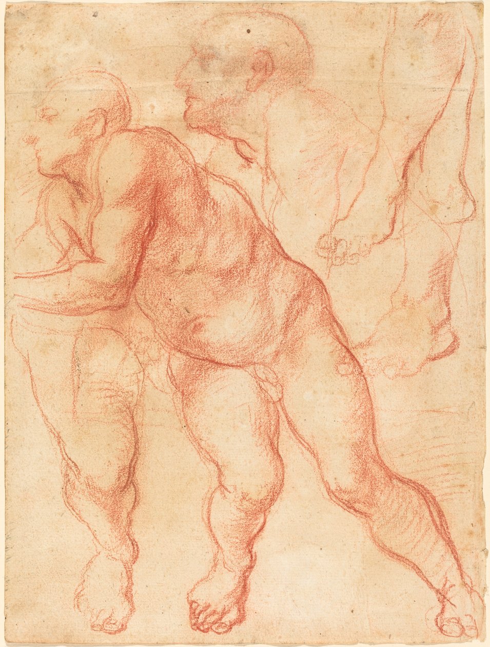 Studie mužského aktu od Giovanni Battista Naldini