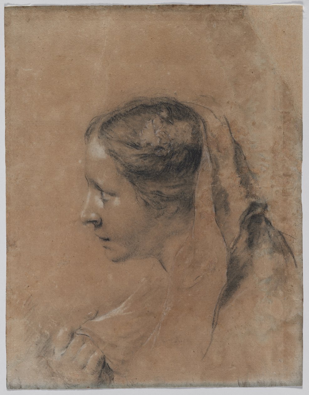 Hlava ženy v profilu s šátkem. od Giovanni Battista Piazzetta