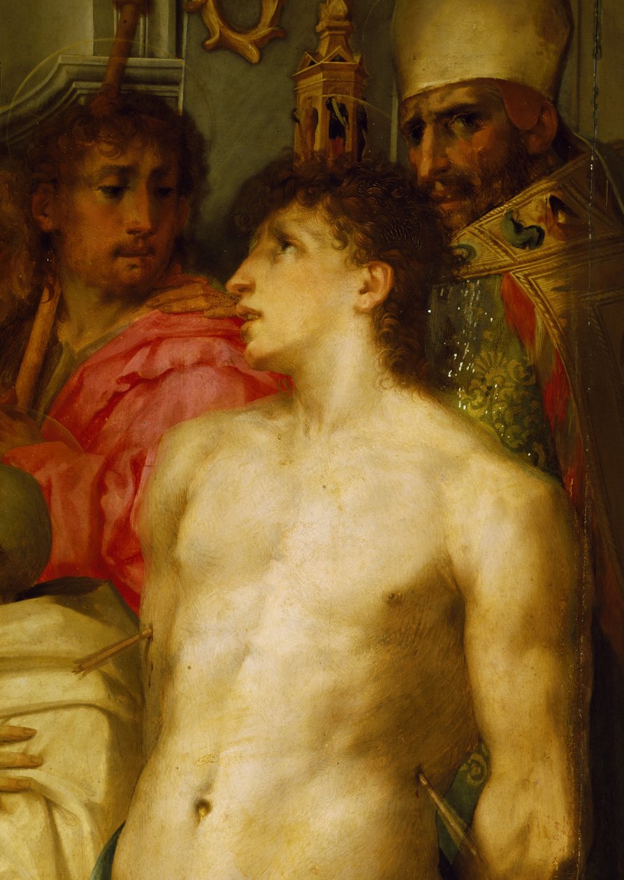 Madona má dítě se svatými, detail od Giovanni Battista Rosso Fiorentino