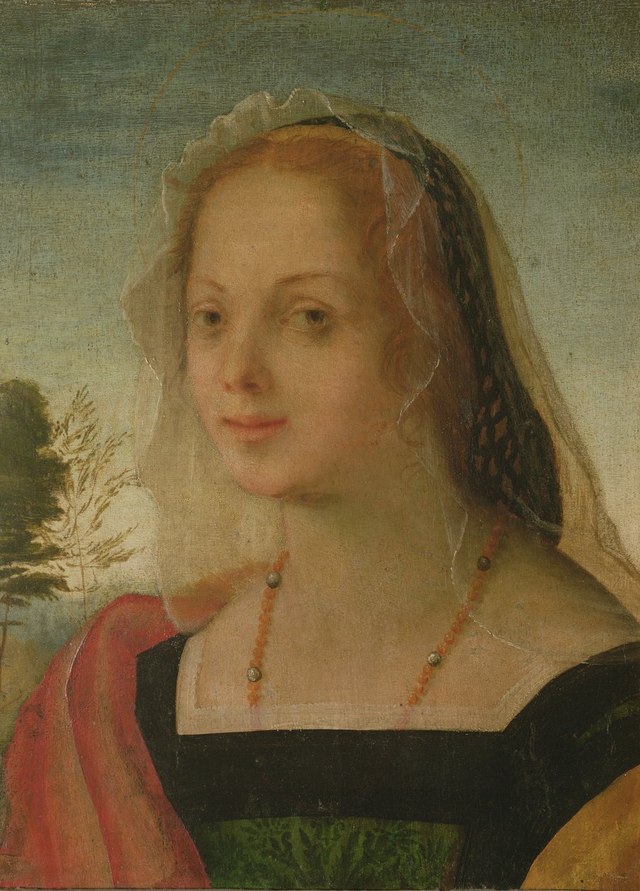 Portrét mladé dívky (tempera na panelu) od Giovanni Battista Rosso Fiorentino