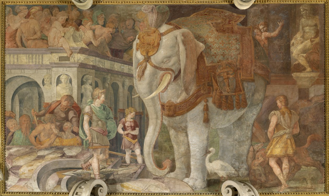 Královský slon od Giovanni Battista Rosso Fiorentino