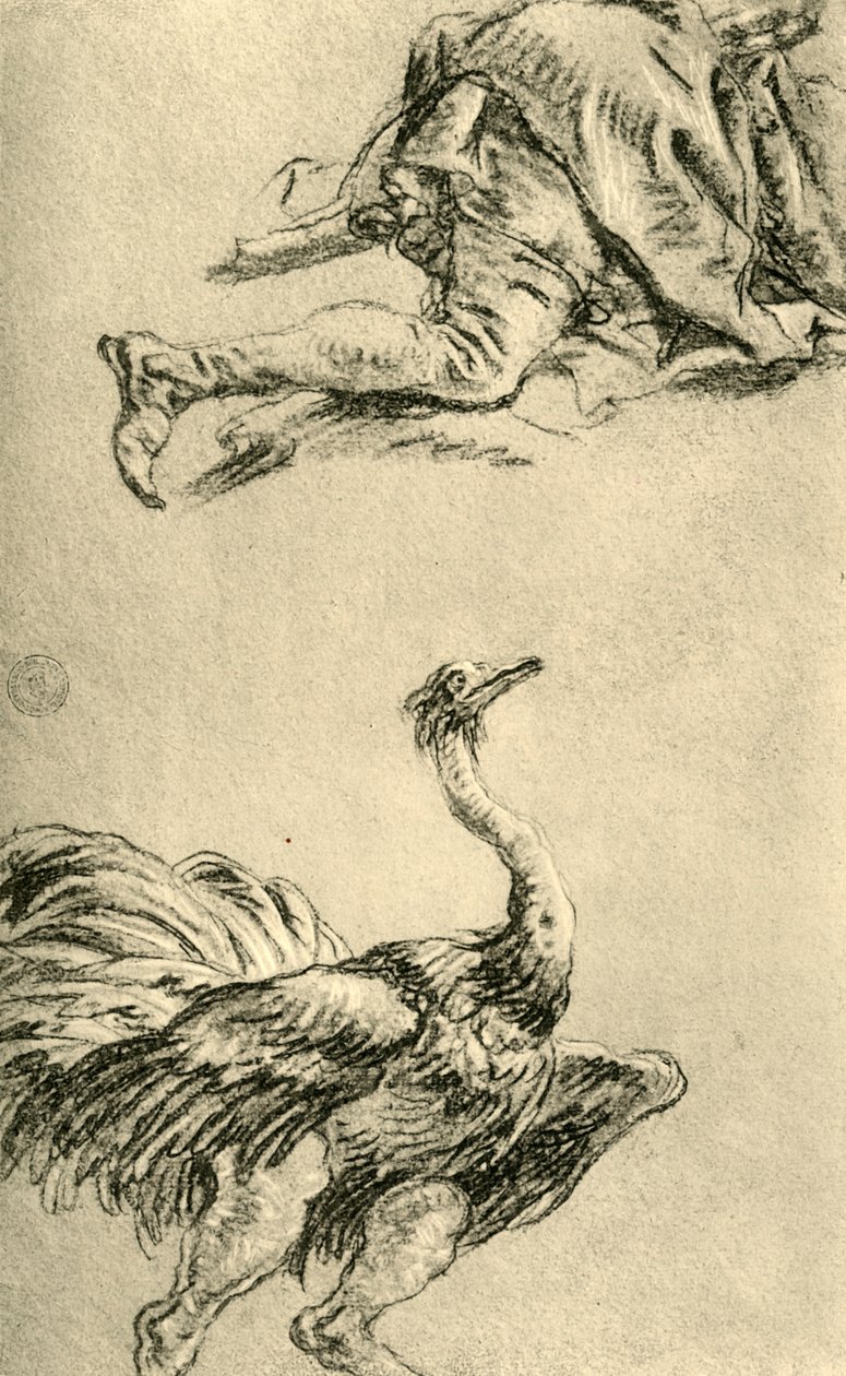 Běžící pštros, 1752-1753, 1928 od Giovanni Battista Tiepolo