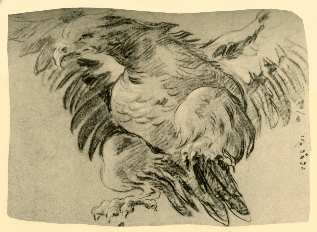 Orel, 1751-1752, 1928 od Giovanni Battista Tiepolo