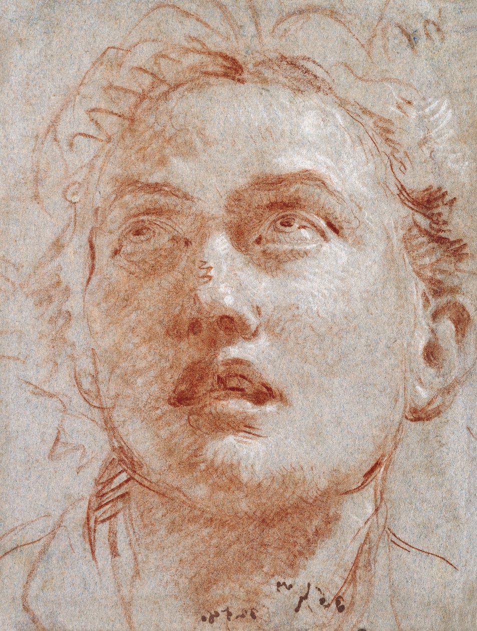 Hlava muže, který vzhlédl, od Giovanni Battista Tiepolo