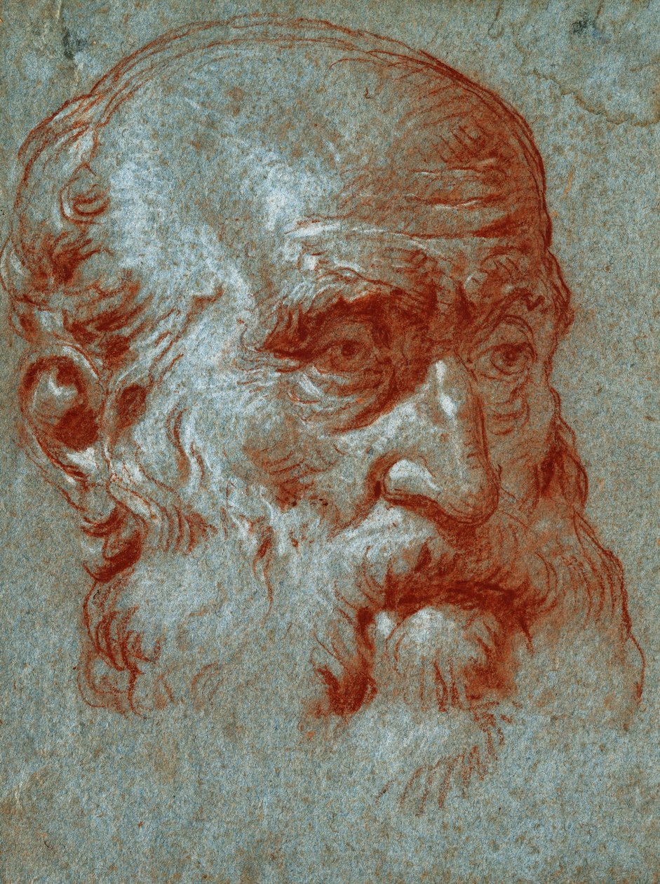 Hlava benátského patricije, tříčtvrteční tvář, od Giovanni Battista Tiepolo