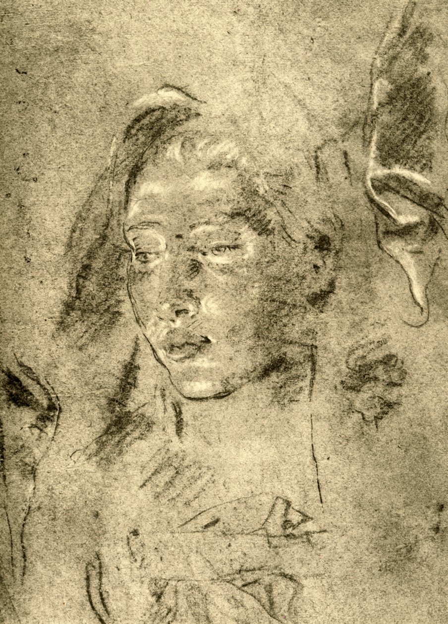 Hlava mladé ženy, polovina 18. století, 1928 od Giovanni Battista Tiepolo