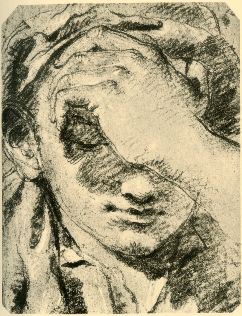 Hlava mladé ženy, polovina 18. století, 1928 od Giovanni Battista Tiepolo