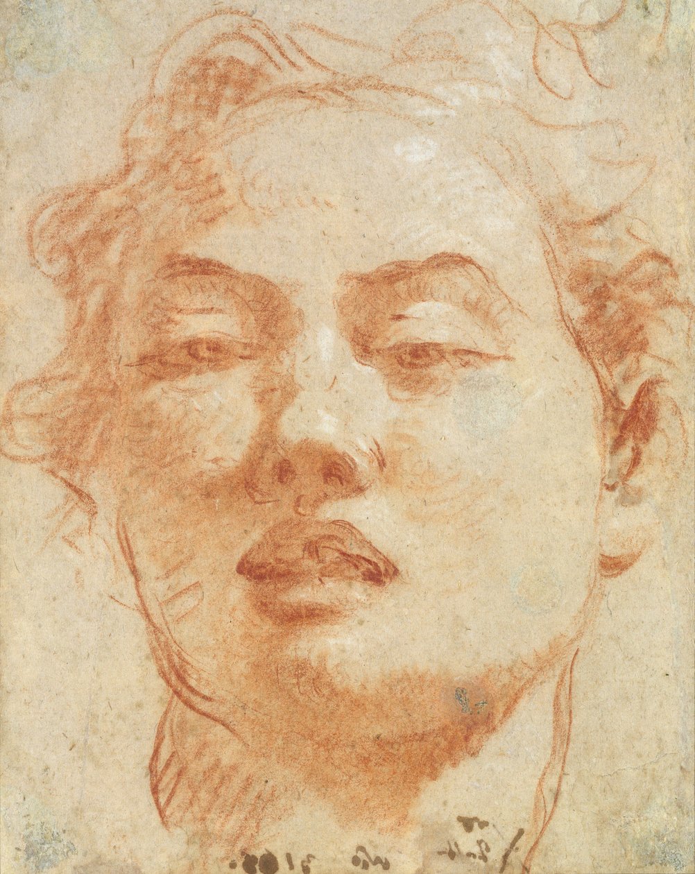Hlava mladého muže (červená a bílá křída na papíře) od Giovanni Battista Tiepolo