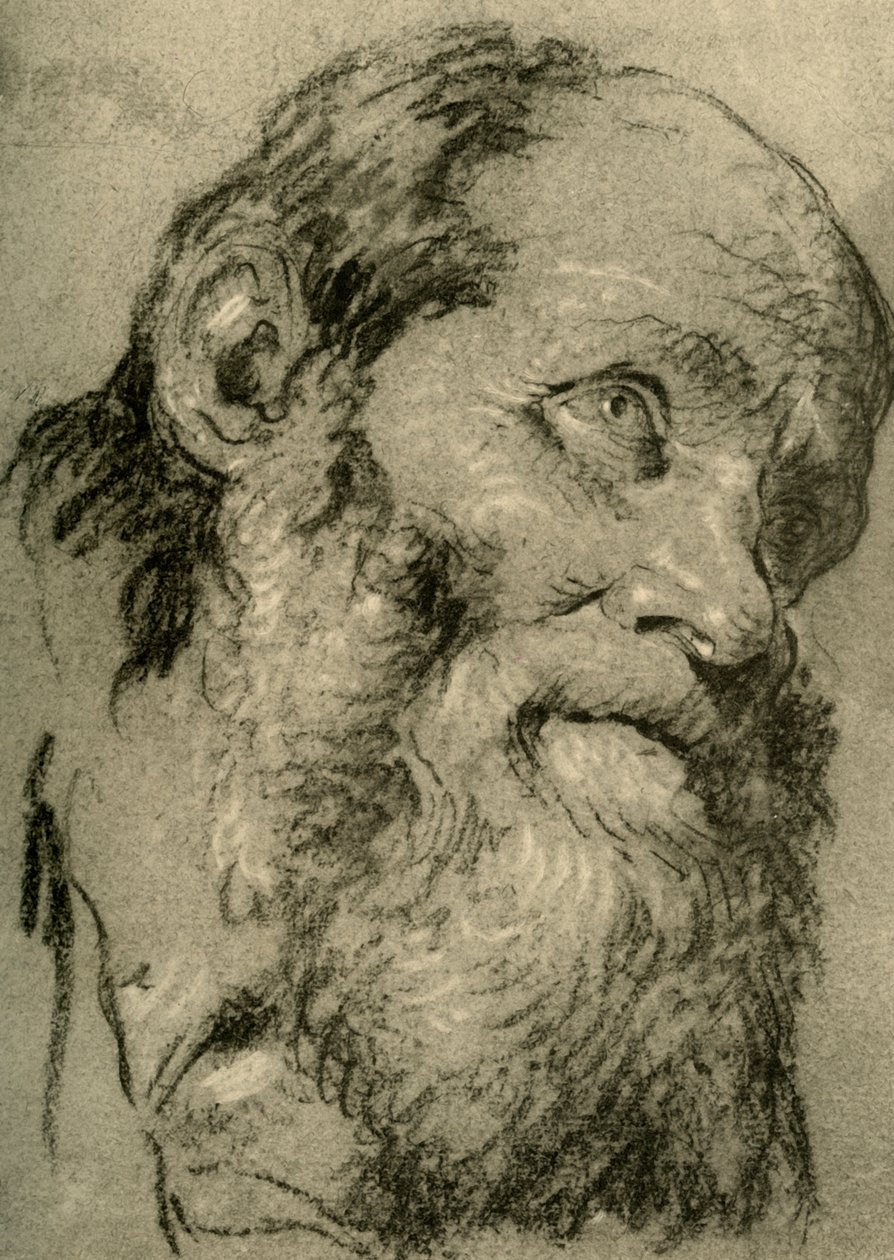 Hlava starého muže, c1755, 1928 od Giovanni Battista Tiepolo