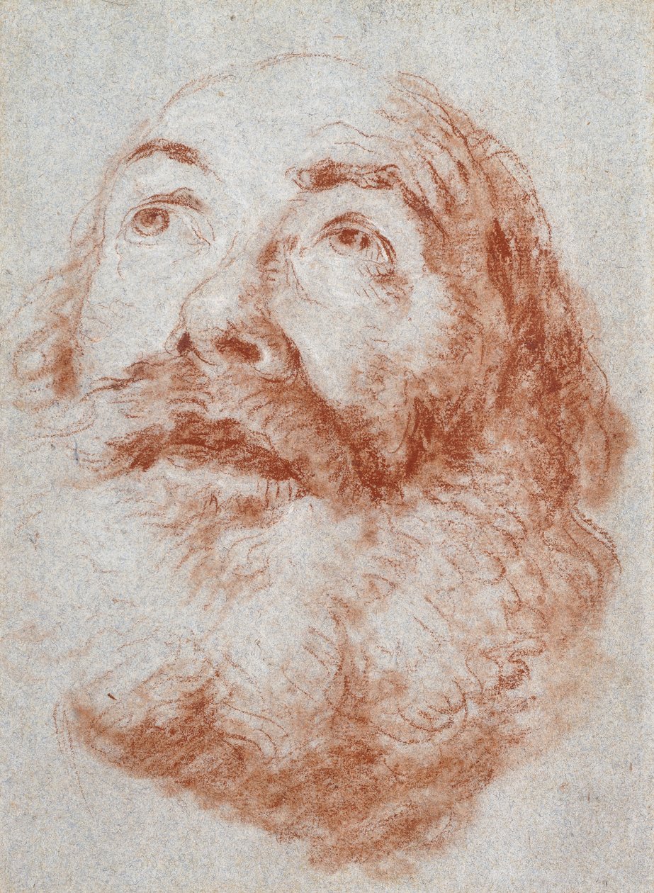 Hlava starého muže, který vzhlédl, od Giovanni Battista Tiepolo