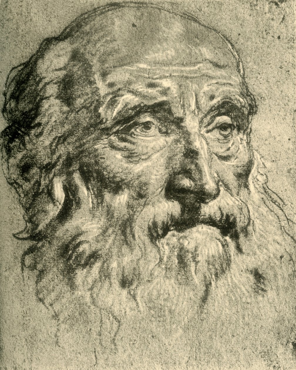 Hlava starého muže, polovina 18. století, 1928 od Giovanni Battista Tiepolo