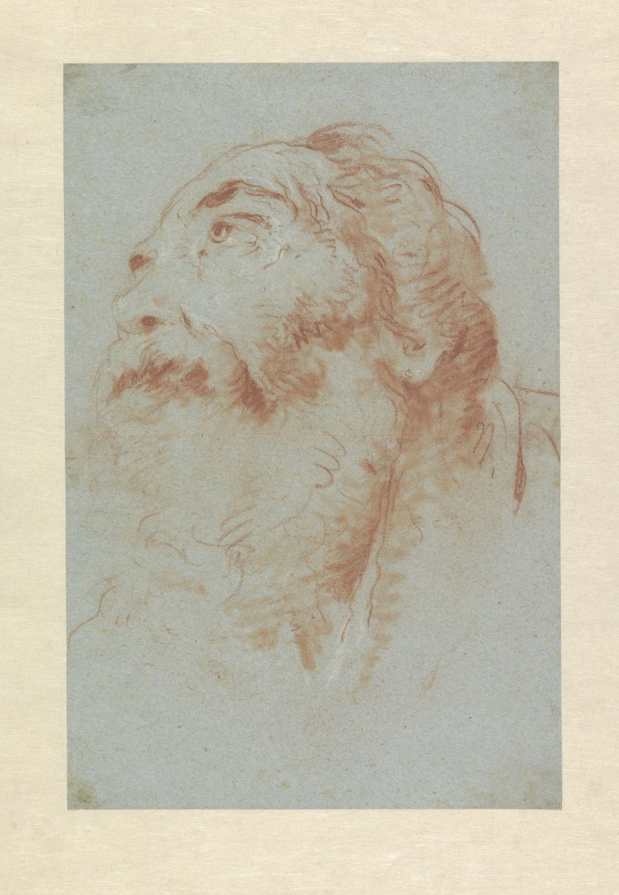Hlava starého muže od Giovanni Battista Tiepolo